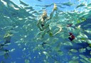 La Concha beach snorkelling