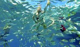 La Concha beach snorkelling