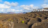 La Geria wine region in Lanzarote