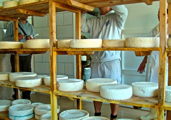 Betancuria cheese making
