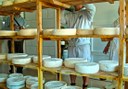 Betancuria cheese making