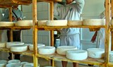 Betancuria cheese making