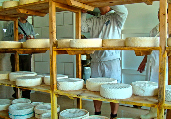 Betancuria cheese making