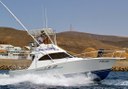 Fuerteventura boat fishing