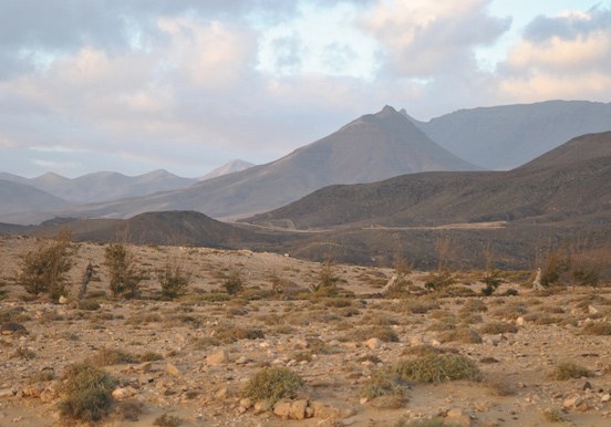 Quad and buggy tour through volcanic landscape in Costa Calma