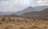 Quad and buggy tour through volcanic landscape in Costa Calma