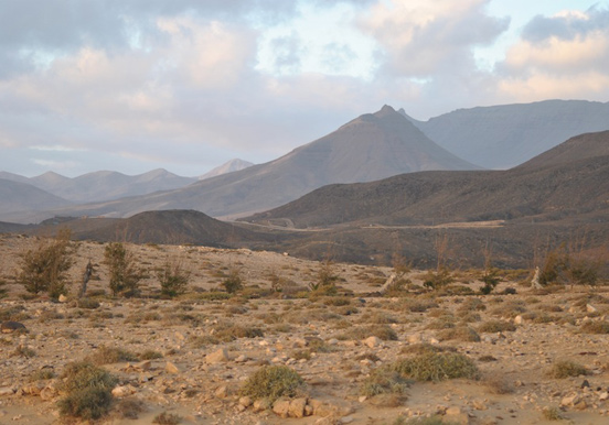 Quad and buggy tour through volcanic landscape in Costa Calma