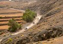 Quad and buggy safari in Costa Calma