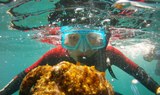 Snorkelling in Fuerteventura.JPG