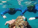 Boat snorkelling tour in Fuerteventura.JPG