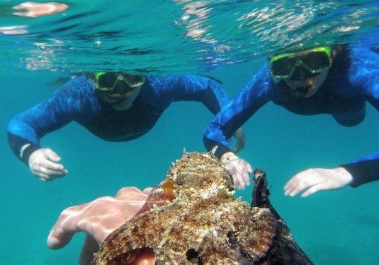 Boat snorkelling tour in Fuerteventura.JPG