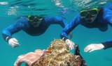 Boat snorkelling tour in Fuerteventura.JPG