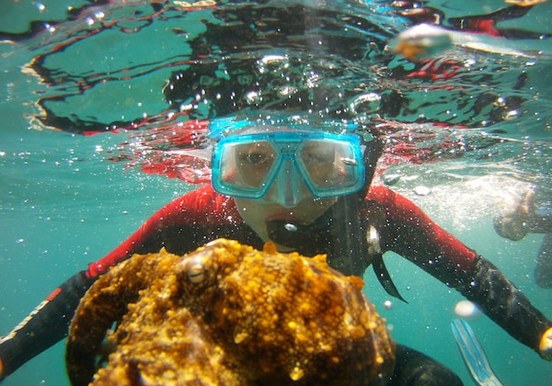 Snorkel with a boat in Fuerteventura.JPG