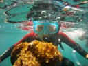 Snorkel with a boat in Fuerteventura.JPG