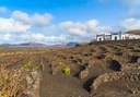 La Geria wine region in Lanzarote