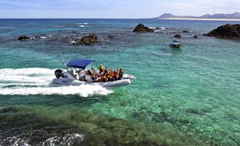 Private water taxi to Isla de Lobos (return)