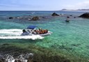 Water taxi to El Puertito Lobos Island