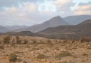 Quad and buggy tour through volcanic landscape in Costa Calma