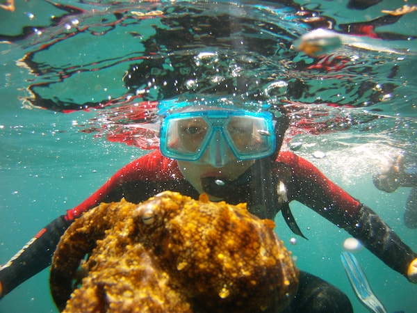 Snorkel with a boat in Fuerteventura.JPG