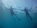Snorkelling with boat in Fuerteventura.JPG