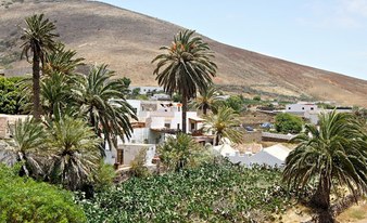4x4 Van Safari tour - Artesanum Centro route