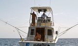 Boat fishing trip in Fuerteventura