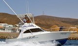 Fuerteventura boat fishing