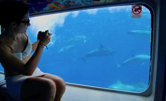 Odyssee Boat Excursion with Submarine Vision
