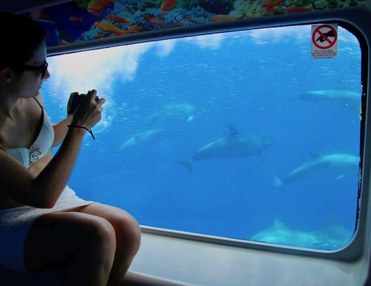 Odyssee Boat Excursion with Submarine Vision