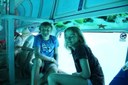 Glass bottom boat with underwater vision Fuerteventura.jpg