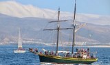 Pirate ship sailing experience Fuerteventura.jpg