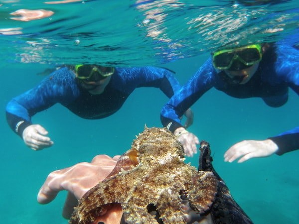 Boat snorkelling tour in Fuerteventura.JPG