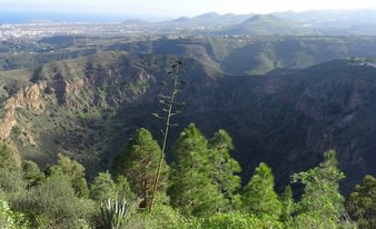 Bandama Volcano, High Peaks and Mirador Roque Nublo Tour