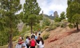 Roque Nublo viewpoint.jpg