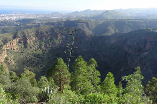 The Bandama volcano in Gran Canaria.jpg