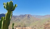 mirador fataga cañon.jpg