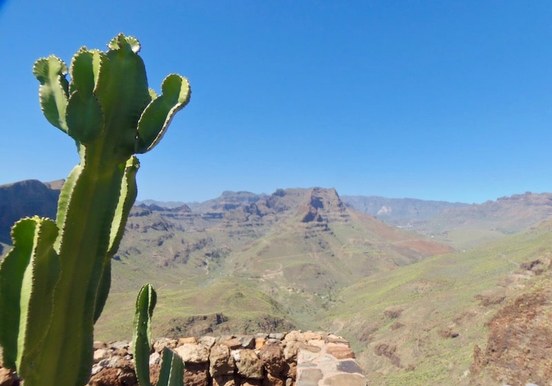 mirador fataga cañon.jpg