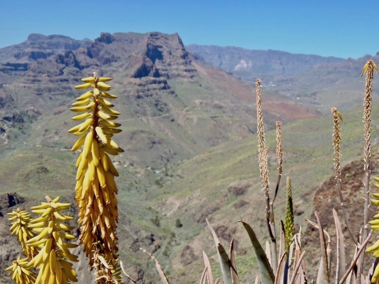 mirador yegua in Gran Canaria.jpg