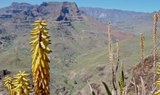 mirador yegua in Gran Canaria.jpg