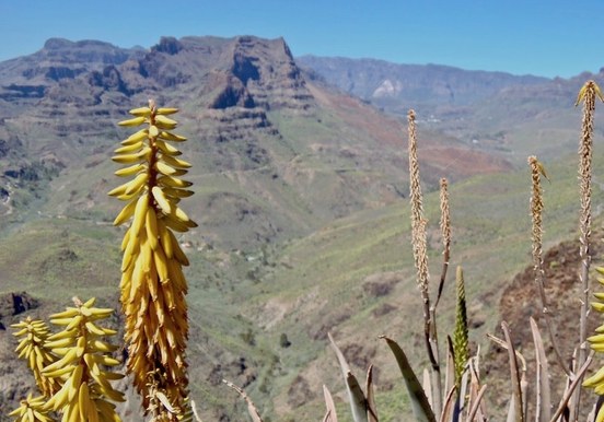 mirador yegua in Gran Canaria.jpg