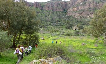 Hiking in Caldera de Bandama - Volcano and Wine route