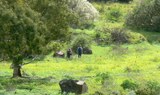 Bandama volcano route and wine tasting hike.jpg