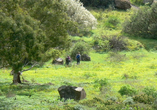 Bandama volcano route and wine tasting hike.jpg