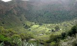 Caldera de Bandama volcan and wine hiking tour.jpg