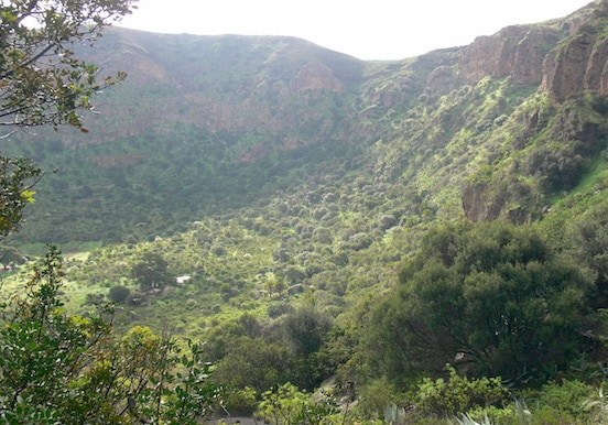 Hiking in Caldera de Bandama.jpg