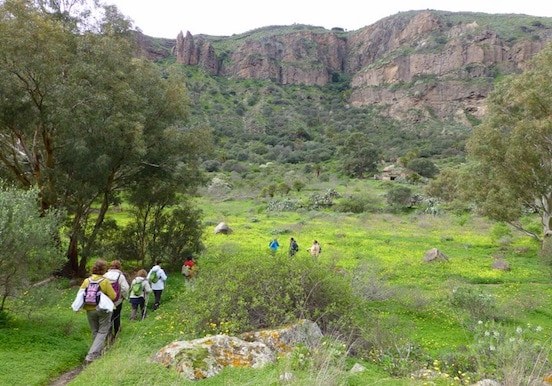Hiking in Gran Canaria Bandama and wine route.jpg