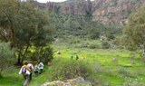 Hiking in Gran Canaria Bandama and wine route.jpg