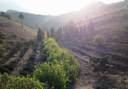 Visit Finca Vandame wineyard in Gran Canaria.jpg
