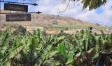 Arucas and banana plantation-min.jpg