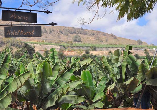 Arucas and banana plantation-min.jpg